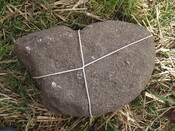 SHG26190_38.JPG