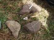 SHG26190_39.JPG
