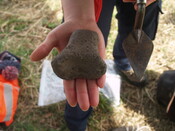 SHG26190_40.JPG