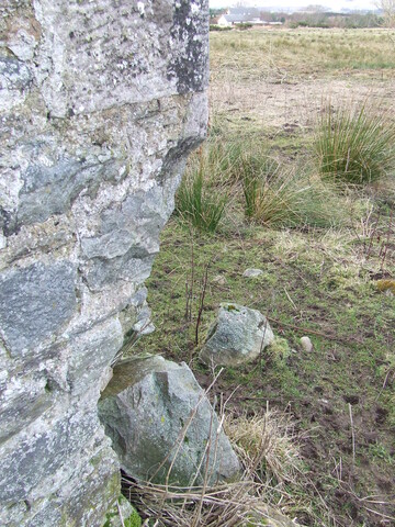 EHG4053_image_35.JPG