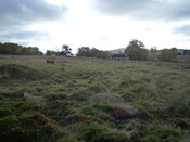 EHG4055_image_09.JPG