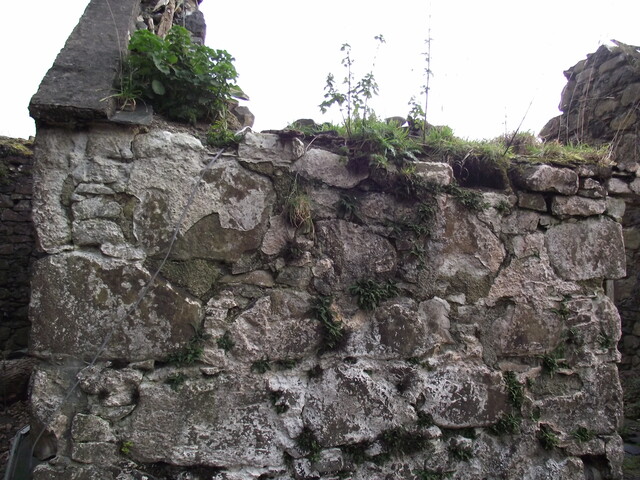 EHG4067_image_03.JPG