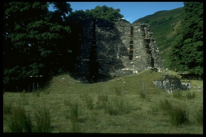 569.jpg