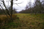 IMGP0910.JPG
