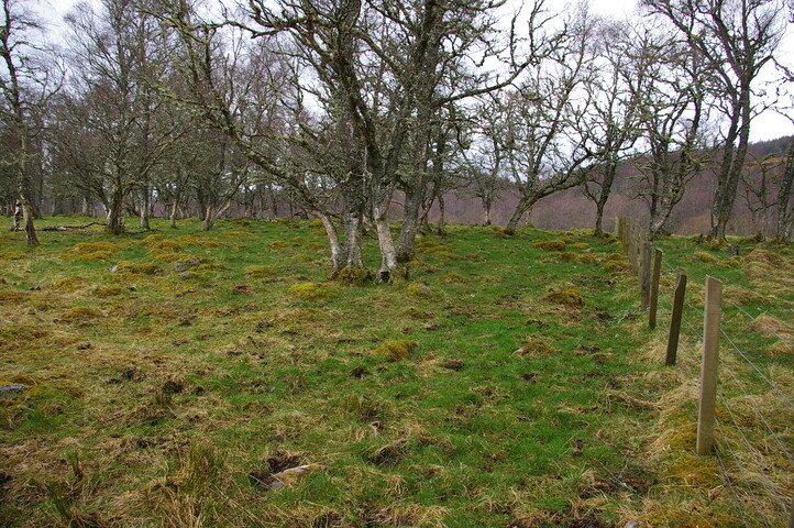 IMGP0911.JPG
