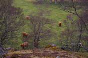 IMGP0912.JPG