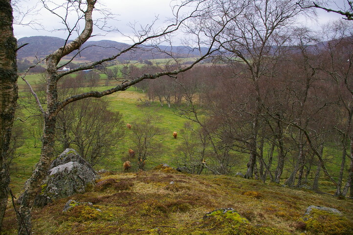IMGP0913.JPG