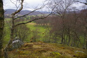 IMGP0913.JPG