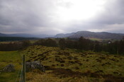 IMGP0914.JPG