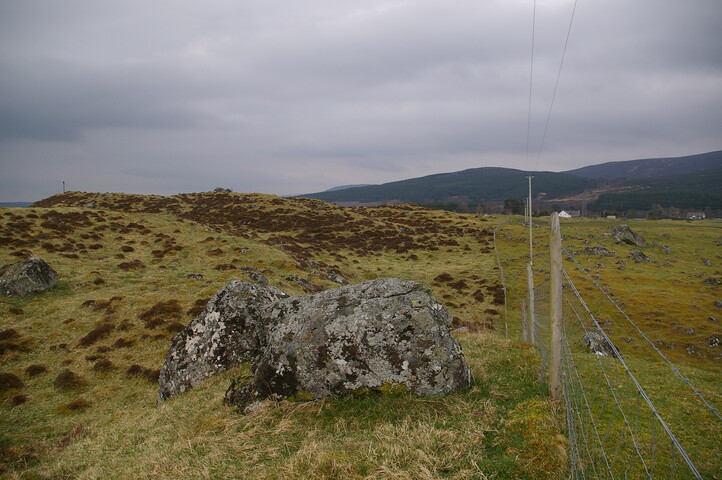IMGP0916.JPG