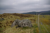 IMGP0916.JPG