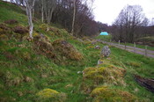 IMGP0917.JPG