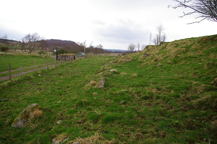 IMGP0918.JPG