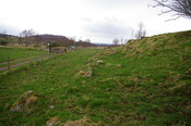 IMGP0918.JPG