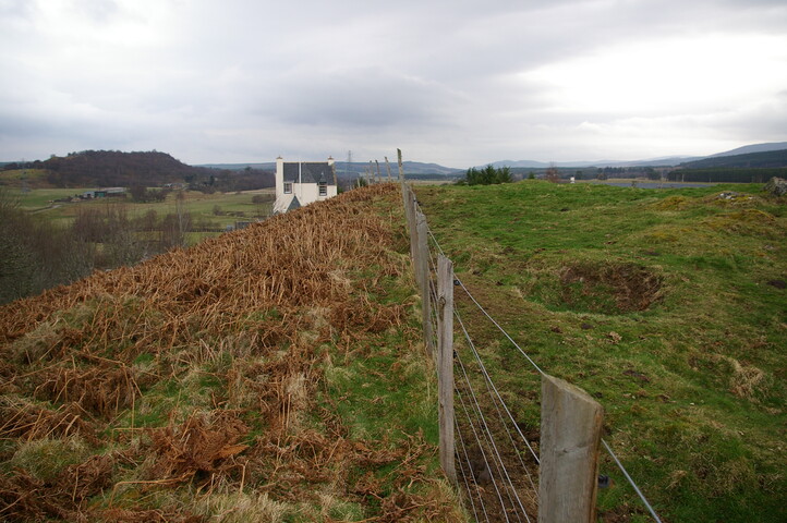 IMGP0919.JPG