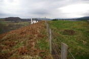 IMGP0919.JPG
