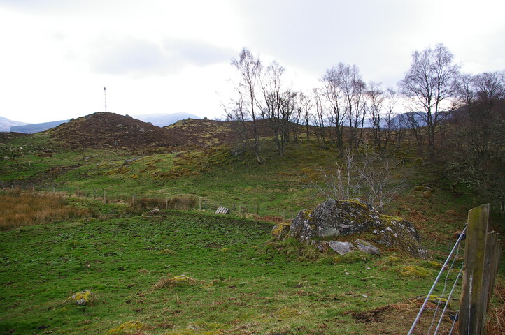 IMGP0920.JPG
