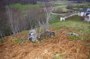 IMGP0922.JPG