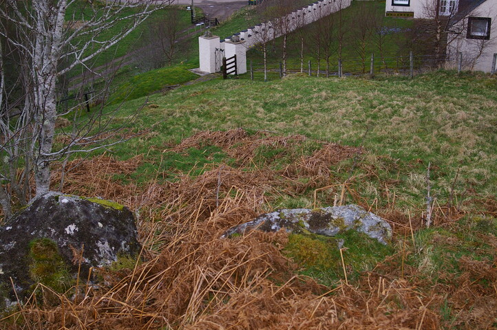 IMGP0923.JPG