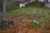IMGP0923.JPG