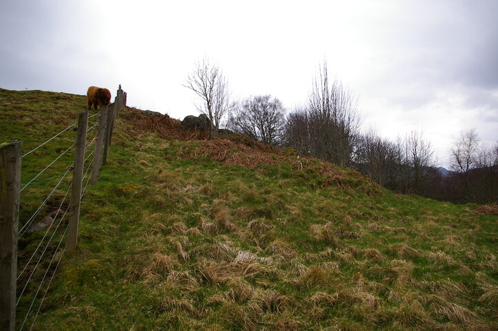 IMGP0924.JPG