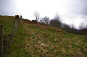 IMGP0924.JPG