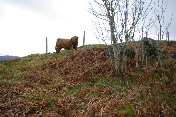 IMGP0925.JPG