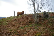 IMGP0925.JPG