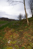 IMGP0927.JPG
