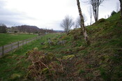 IMGP0928.JPG