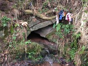 MHG7112_Munlochy_Bay_Clootie_Well.jpg