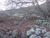 MHG8077_Ardvannie_Chambered_Cairn_14.1.14.jpg