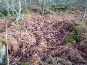 MHG24768_Building abutting E side Kyleoag Cairn from West.JPG