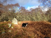 MHG24768_Kyleoag Cairn from South.JPG
