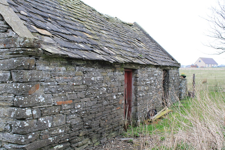 EHG4078_3.JPG
