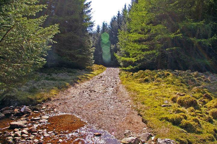 IMGP1356a.jpg