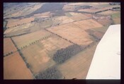3841.jpg