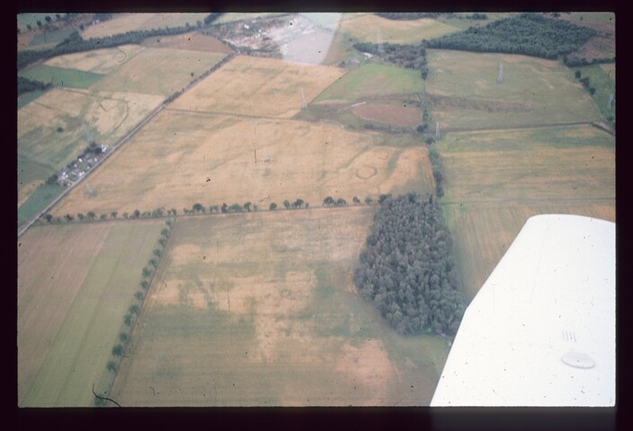 3845.jpg