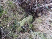 MHG8593_Carrieblair Cairn 14.1 (1).jpg