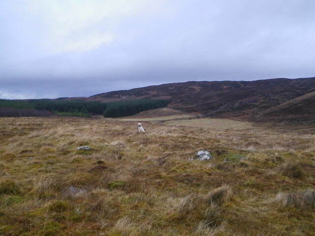 SHG26241_Ullapool Braes Henge Anna entrance from S.JPG