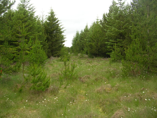EHG3312_CAMS_003.jpg