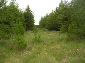 EHG3312_CAMS_003.jpg