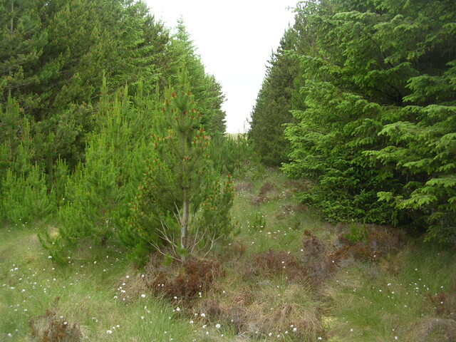 EHG3312_CAMS_004.jpg