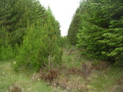 EHG3312_CAMS_004.jpg
