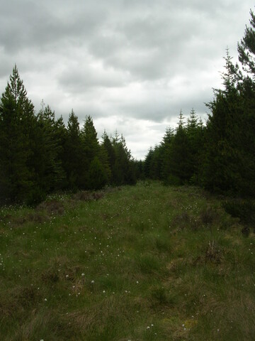 EHG3312_CAMS_005.jpg