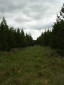 EHG3312_CAMS_005.jpg