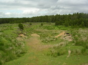 EHG3312_CAMS_018.jpg