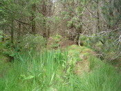 EHG3312_CAMS_021.jpg