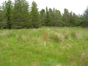 EHG3312_CAMS_026.jpg