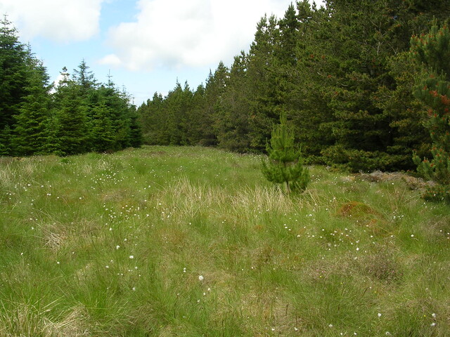 EHG3312_CAMS_028.jpg